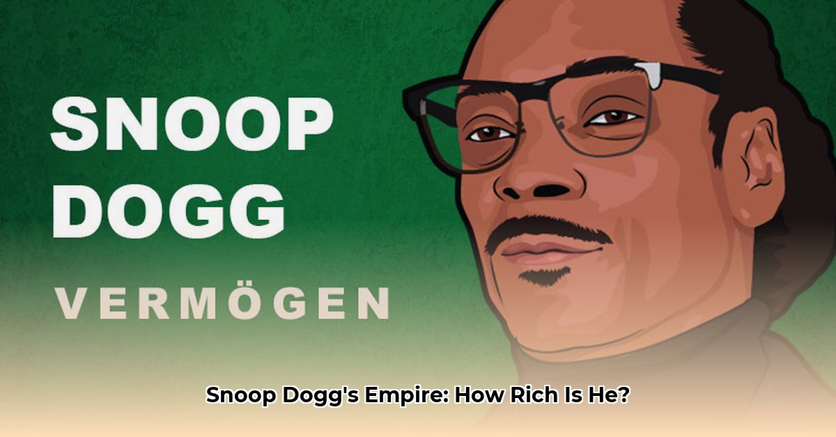 vermogen-snoop-dogg